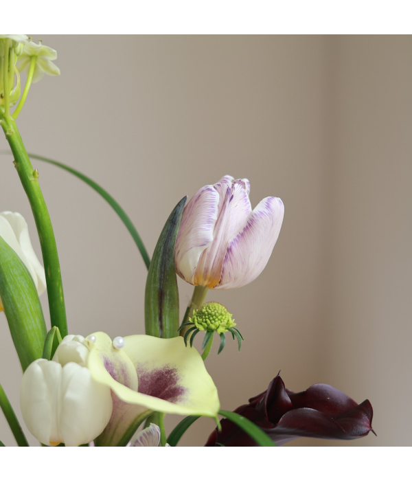 Velora Bloom