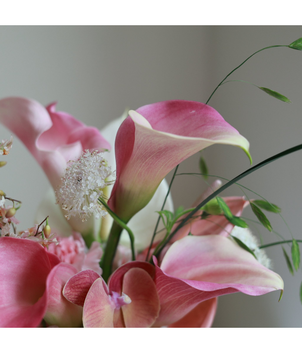 Serenpetal