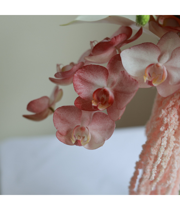 Serenpetal