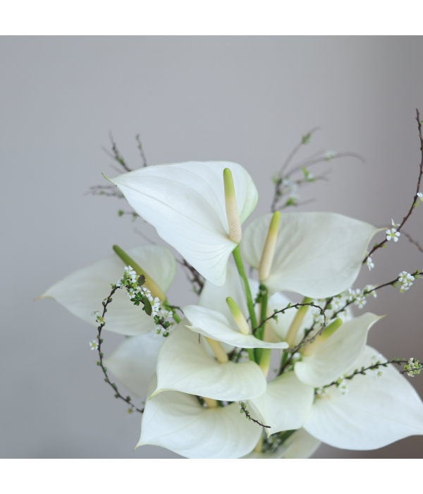 Calantha