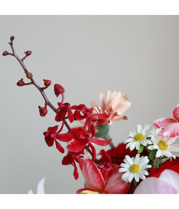 Fiorenza Bloom
