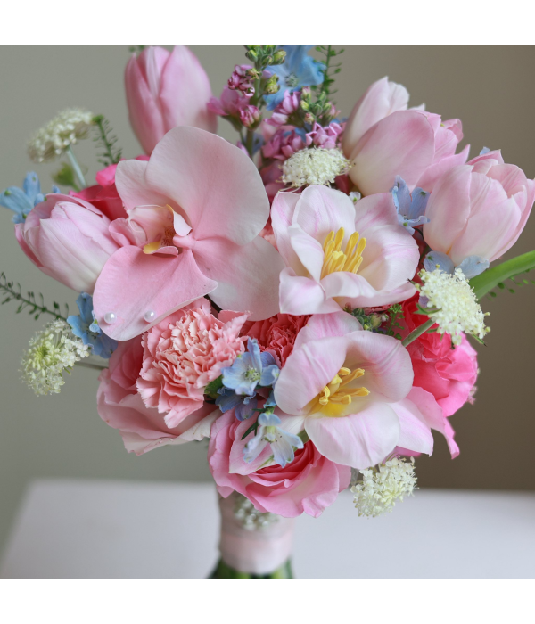 Alstroemeria