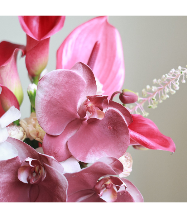 Petalunee