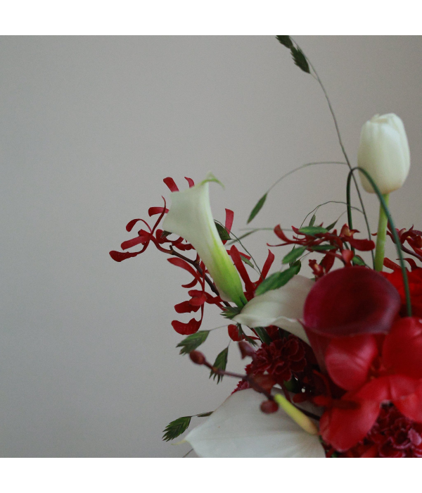 Freesia