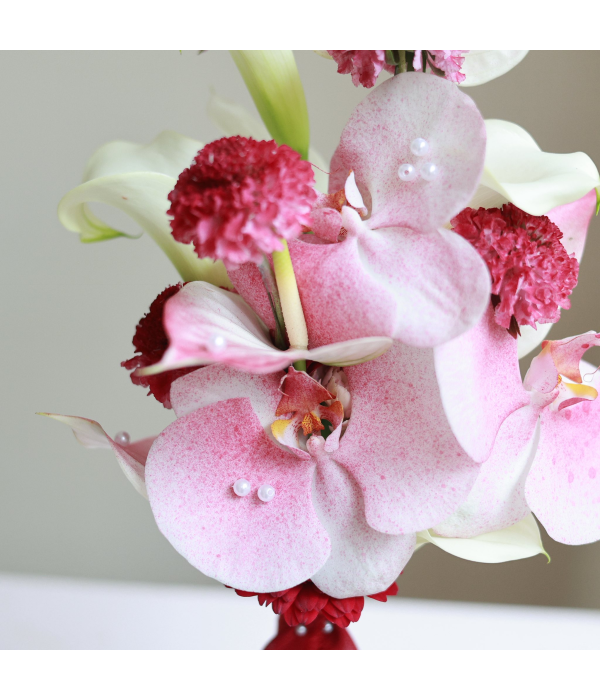 Gardenia