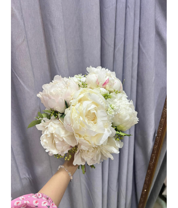 Hoa  Peony 