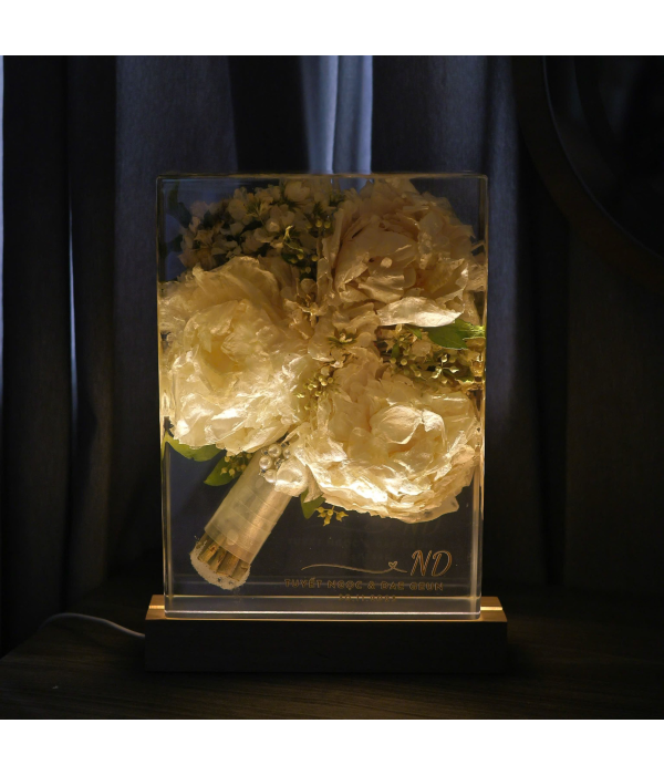 Hoa  Peony 