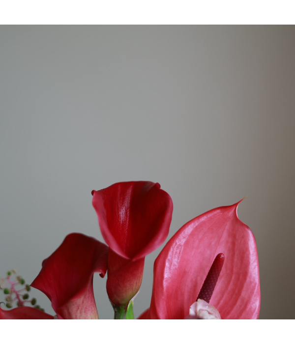 Petalunee