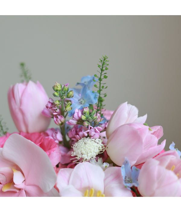 Alstroemeria