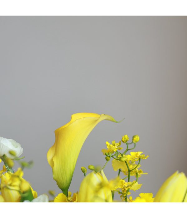 Snapdragon