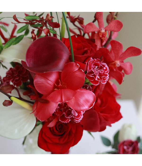 Freesia