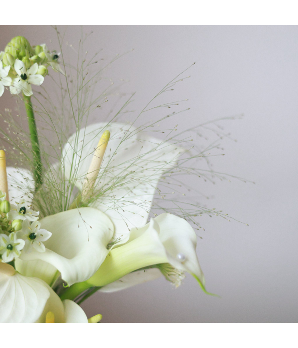 Chrysanthemum