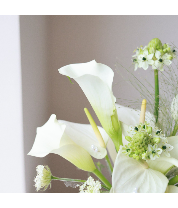 Chrysanthemum