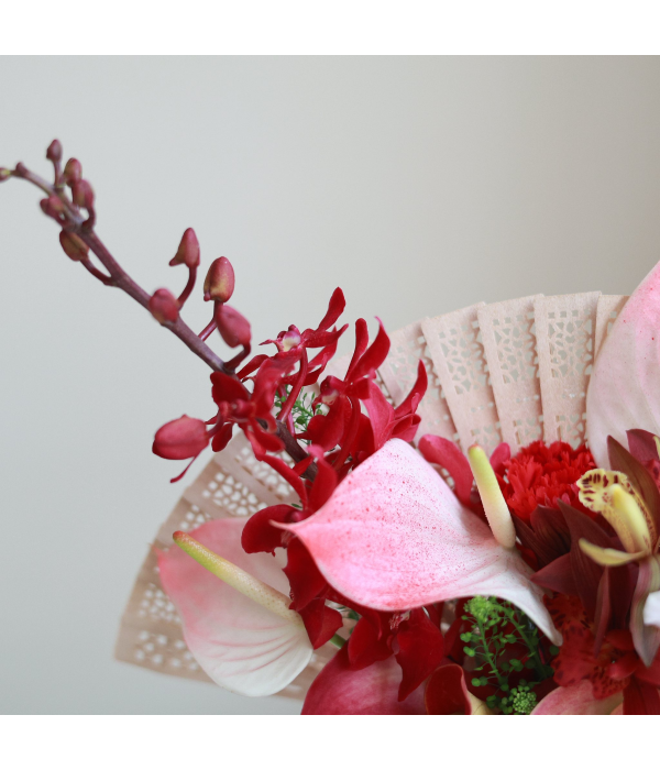 Gladiolus