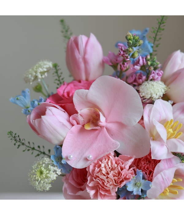 Alstroemeria