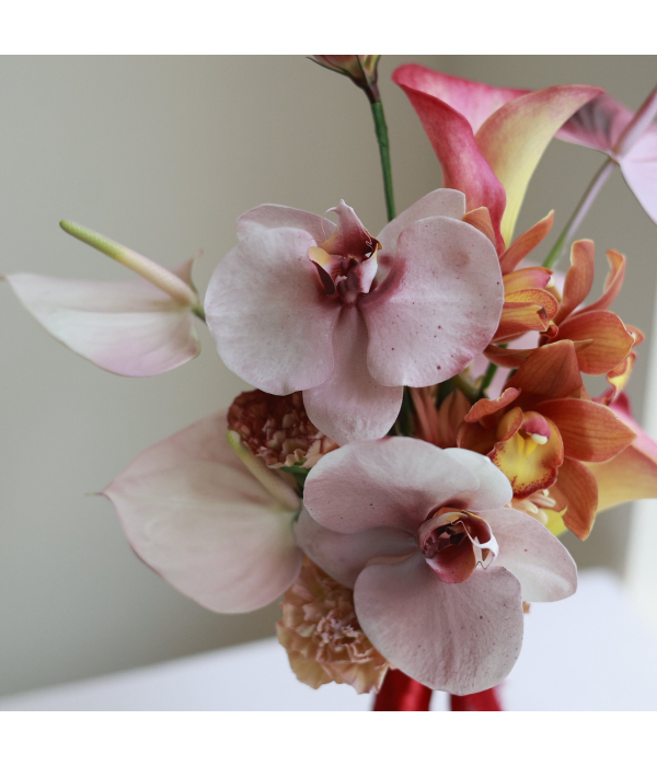 Hellebore