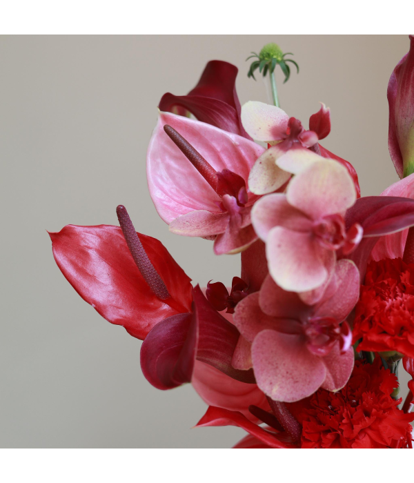 Zerith Bloom