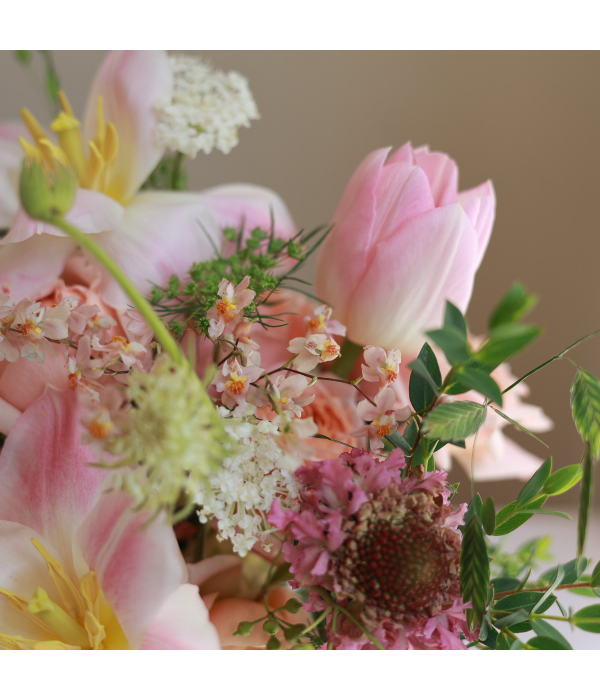 Gavirox