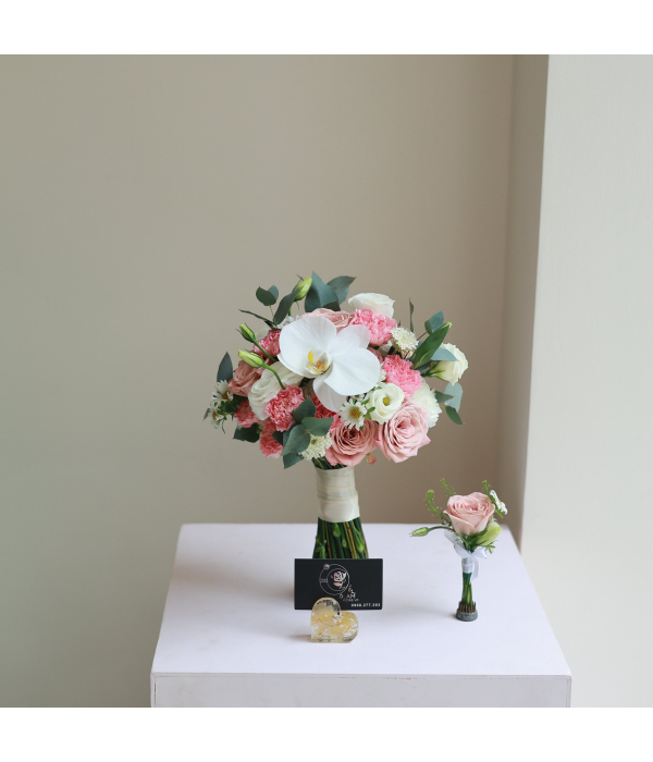 Vimqel