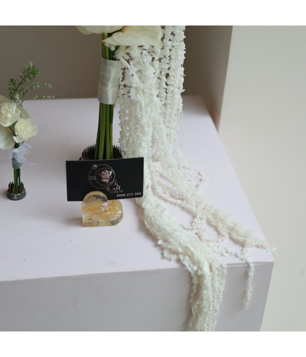 Noctavelle Floral