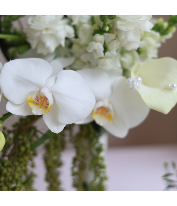 Aventhia Floral