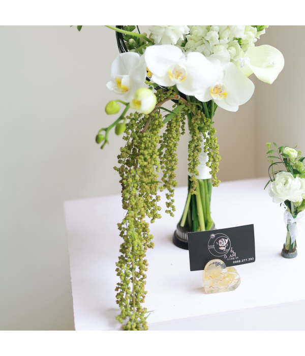 Aventhia Floral