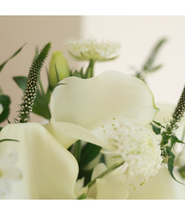 Solmeria Atelier