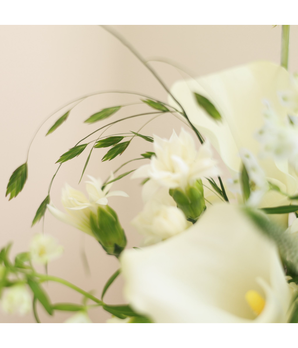 Solmeria Atelier