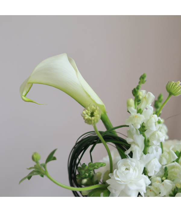 Aventhia Floral