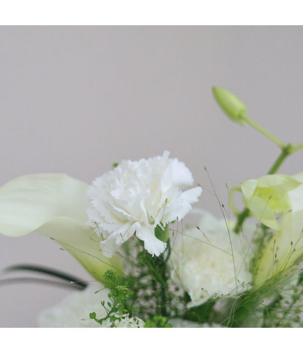 Nyvera Blossom