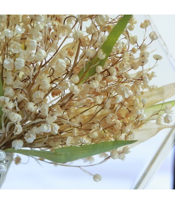 Hoàng Trọng & Phương Vy