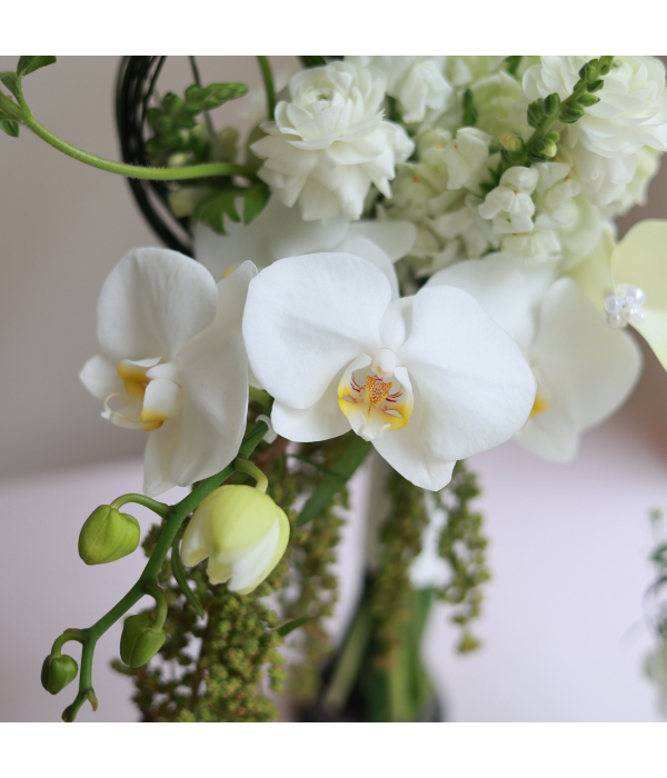 Aventhia Floral