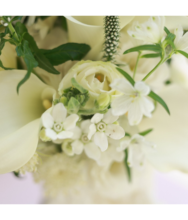 Solmeria Atelier