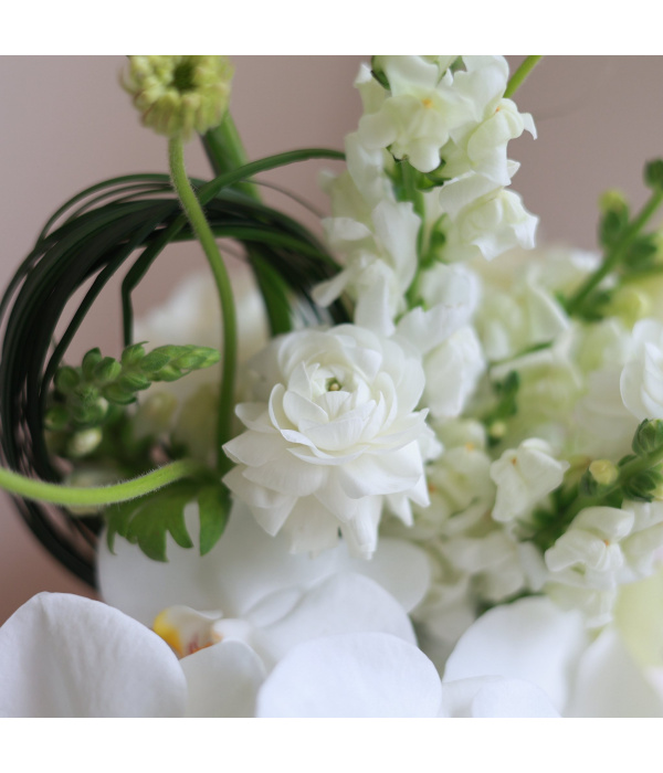 Aventhia Floral