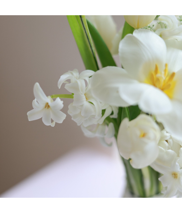 Aevorith Bloomique