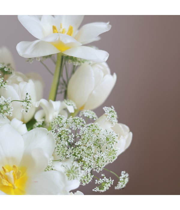 Aevorith Bloomique