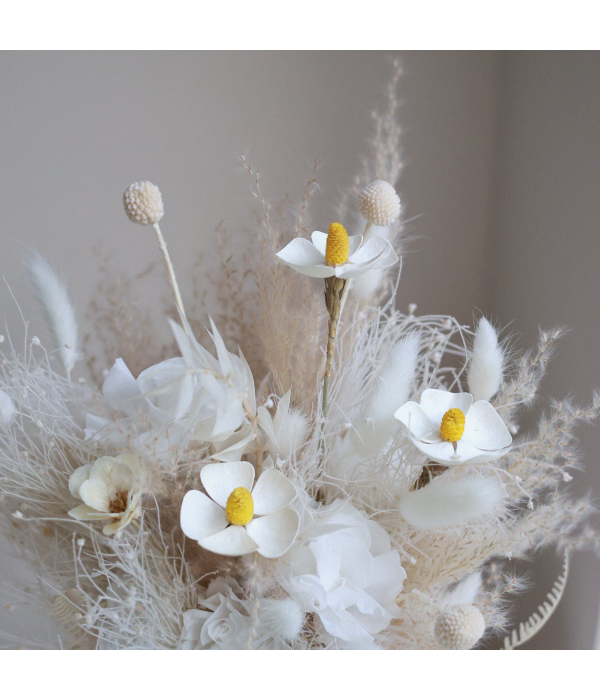 Qhyntrisse Atelier