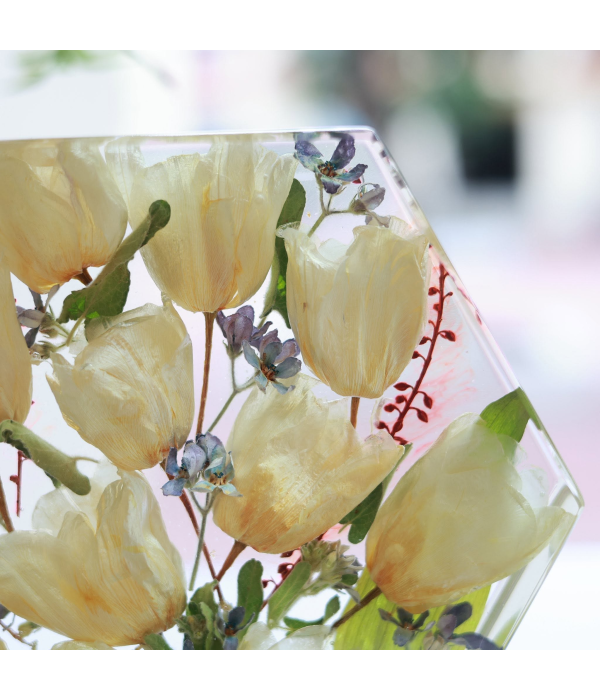 Hoàng Giang & Nhật Vy
