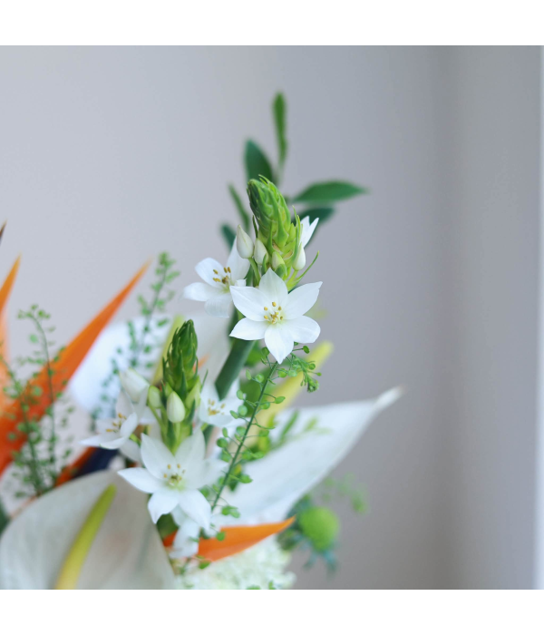 Briselque