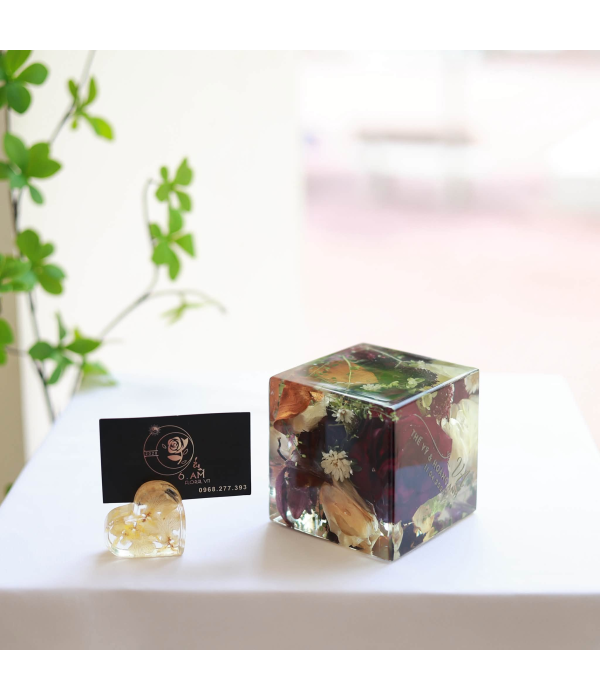 Thế Sỹ & Hoàng Anh