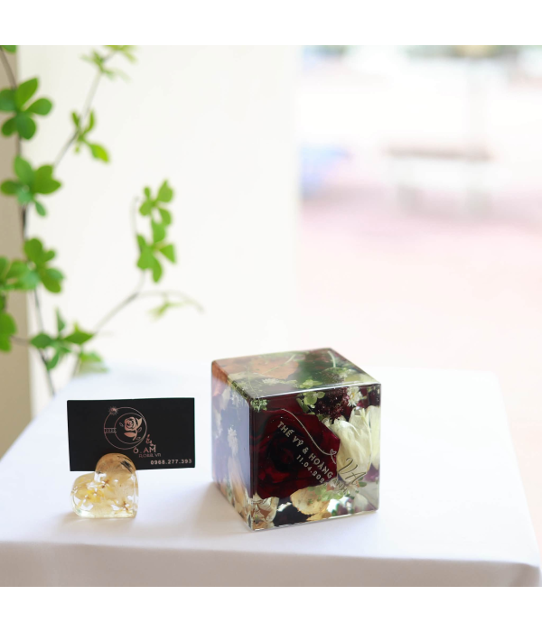 Thế Sỹ & Hoàng Anh