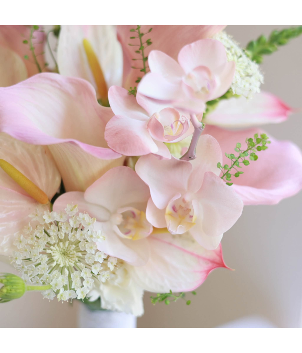 Loredyn